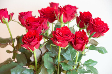 赤い薔薇