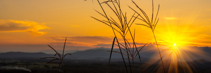 Banner Golden sky sunrise dramatic beautiful landscape view. Dawn sky gold dusk time cloudscape with sunlight. Panorama Dramatic sunset scenic landscape. Beautiful landscape nature with copy space