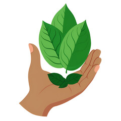 hand holding green leaf
