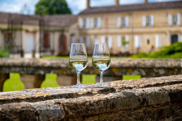 Glasses of white wine in old wine domain on Sauternes vineyards in Barsac village and old castle on background, Bordeaux, France