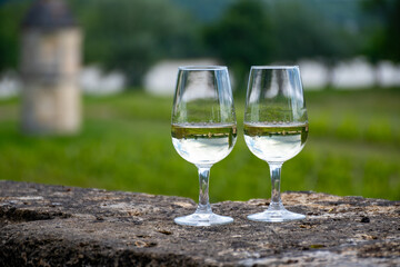 Glasses of white wine in old wine domain on Sauternes vineyards in Barsac village and old castle on background, Bordeaux, France