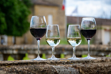 Glasses of white and red wine in old wine domain on Graves vineyards in Portets village and old castle on background, Bordeaux, France