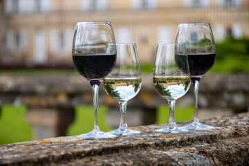 Glasses of white and red wine in old wine domain on Graves vineyards in Portets village and old castle on background, Bordeaux, France