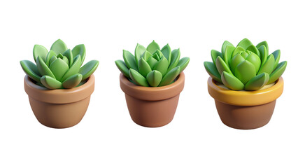 3D Succulent Plant