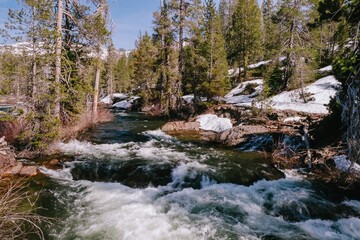 River flowing in the forest during the snow melt, Tahoe National Forest, California, United State...