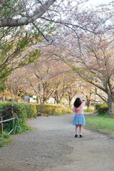 Fototapeta premium 桜の木を見上げる女の子