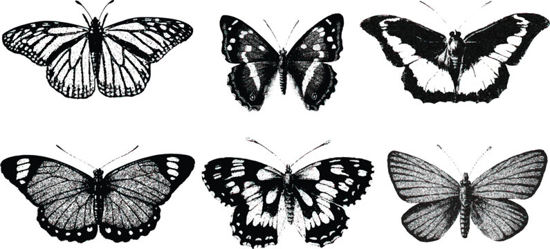 butterflies with vintage stipple effect, y2k coquette collage design. Monochrome photocopy retro design elements. Vector illustration stipple halftone brutalist retro design