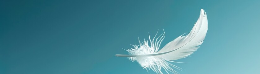 Obraz premium A feather is flying in the sky above a blue sky