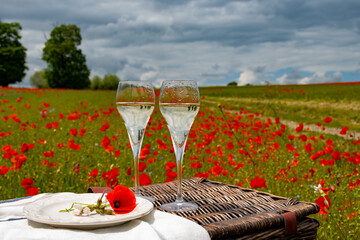 Picnic on red poppies flowers field and green grass with glasses of champagne sparkling wine, cremant  or cava, summer in France, weekend background