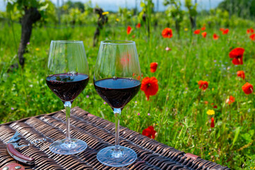 Picnic on old vineyard with red poppies flowers and green grass with glasses of red Cahors wine, summer in Cahors wine making region in France, weekend background
