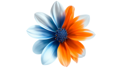 Blue and orange flowers isolated on a transparent background