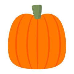 Pumpkin healthy food illustration on white background