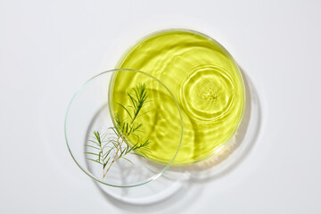 Minimal scene of a petri dish containing a branch of tea tree leaves stacked on another petri dish...