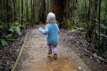 toddler hiking in the forest in winter wearing a beanie, walking on a trail in the australian bush....
