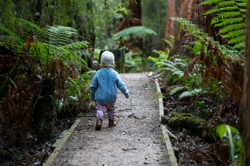 toddler hiking in the forest in winter wearing a beanie, walking on a trail in the australian bush. child exploring in nature and studying the environment and learning 