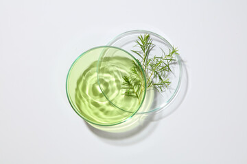 Minimal scene over white background with a stack of two glass petri dishes containing green liquid and tea tree leaves. Science laboratory research and development concept
