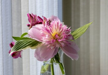 Close up indoor view of fresh cut flowers in a glass vase featuring a beautiful pink peony and...