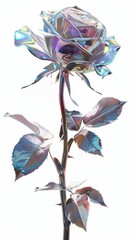 Holographic rose on white background, futuristic and modern concept
