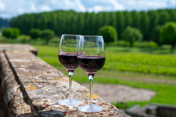 Glasses of french dry red wine in old wine domain on Graves vineyards in Portets village and old castle on background, Bordeaux, France