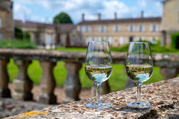 Glasses of white wine in old wine domain on Sauternes vineyards in Barsac village and old castle on background, Bordeaux, France