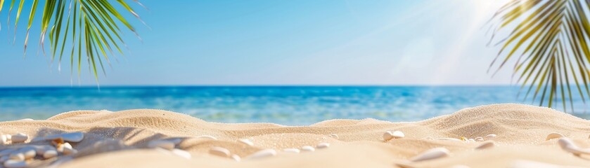 Obraz premium sandy beach with palm trees and blue ocean for tropical summer background.