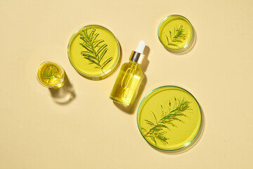 Flat lay of a transparent bottle filled with tea tree oil arranged with three petri dishes and a...