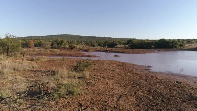 Aerial Shot In South Africa Over Savana Watering Hole