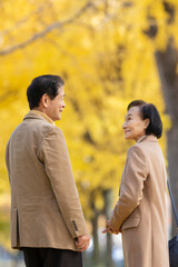 Fototapeta premium イチョウ並木を散歩するシニア夫婦