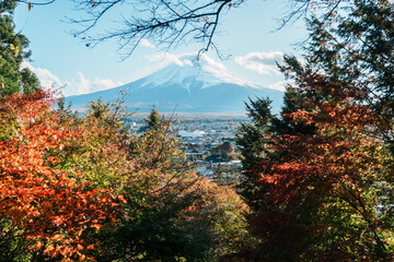 Mount Fuji view in Autumn season, colorful fall foliage leaves at Chureito Pagoda, Yamanashi,...