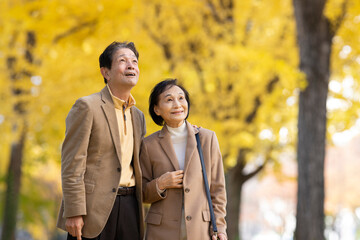 Fototapeta premium イチョウ並木を散歩するシニア夫婦