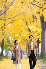 Fototapeta premium イチョウ並木を散歩するシニア夫婦