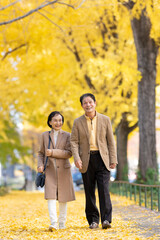 Fototapeta premium イチョウ並木を散歩するシニア夫婦