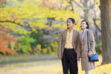 紅葉狩するシニア夫婦