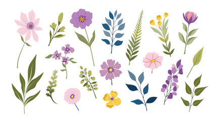 Set of isolated floral illustration with flowers, branches, berries, feathers, leaves and cute elements in simple plain graphic style on transparent background. Purple and pink color tone.