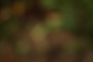 Abstract background image, blurred, multi-colored