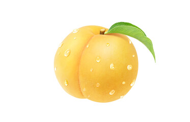 黄金桃のイラスト リアル 白バック