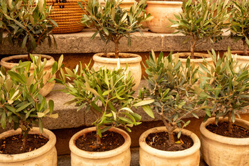 Merchandise from a souvenir shop in Roussillon in the ​​Provence-Alpes-Côte d’Azur region,...
