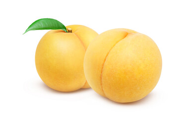 黄金桃のイラスト リアル 白バック