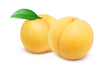 黄金桃のイラスト リアル 白バック