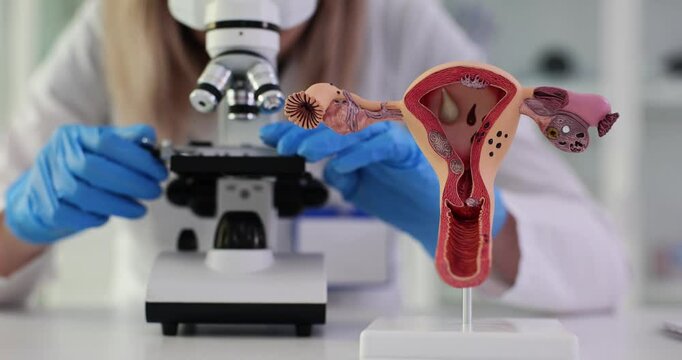 Doctor identifies irregularities in human uterine tissue