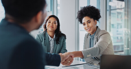 Business people, meeting and shaking hands for job interview, recruitment and introduction in...