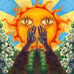 A hand that shields a withering daisy from the sunlight amid a field of blooming daisies