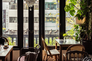 Cozy interior of an old-style cafe with green plants.