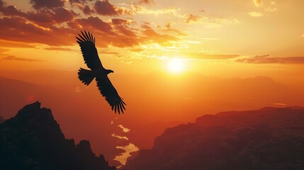 Fototapeta premium sunset in the mountains