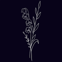 Hand-drawn floral illustration