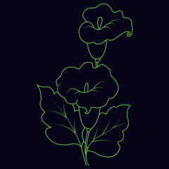 Hand-drawn floral illustration