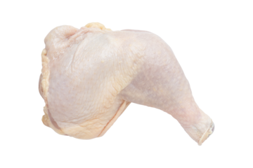 Raw Chicken Leg Quarter with Back Bone Isolated on Transparent Background