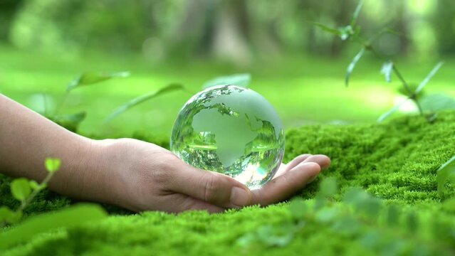 Hand holding crystal globe glass on green moss to protect nature Save and care World for sustainable. concept of the environment ecology and Earth Day. ESG concept.