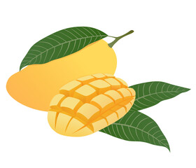 Mango tropical fruit vector illustration