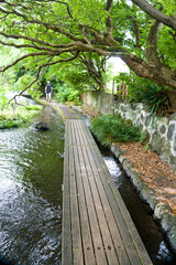Genbe River  is  A waterside spot in Mishima city, Shizuoka, Chubu, Japan.